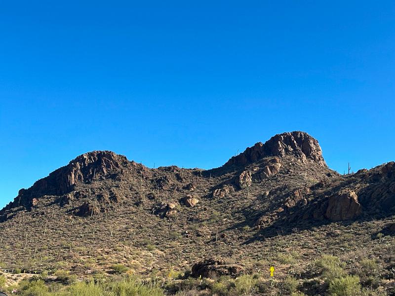 398_USA_Arizona_Saguaro_NP.JPG