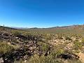 394_USA_Arizona_Saguaro_NP