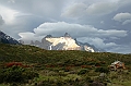 177_Patagonia_Chile_NP_Torres_del_Paine